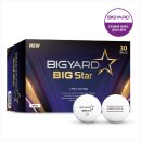 빅스타 | 주말 운동러 빅스타 비거리 골프공 후기