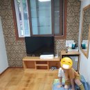 우듬지호텔 이미지