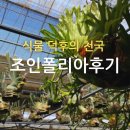 힐링&좋은일이가득한곳 | 온실 안 초록 힐링 공간, 파주 조인폴리아 방문 후기. 식물 덕후라면 다 아는 그 곳!