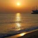 옥토끼목장 이미지