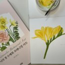 봄맞이 꽃그림 보태니컬 아트 이미지