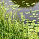 신바람농장 이미지