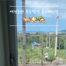 홍스테이션