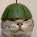 수강신청연습하기 이미지