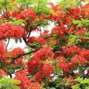 신현동-8 이미지