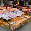 세화오일시장 이미지