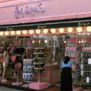 못된고양이 이미지