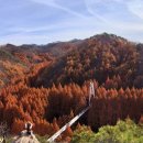 장태산자연휴양림 이미지