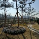 남동농협주유소 이미지