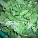 진짜루 대책 없다요!~~~ 이미지