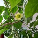 행복한의료기 이미지