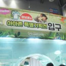 25' 킨텍스 한국 관상어 박람회 관람 후기(도마뱀, 뱀, 관상어, 체험)