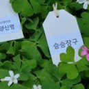 오락게임카페 노래연습장 네이버블로그