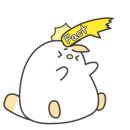 무한캠프24