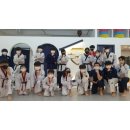 쌍용예가태권도 이미지