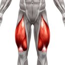 스카이 휘트니스 이미지