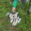 행복 낚시터 이미지