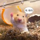 바쁘다 바빠 현대사회
