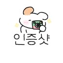 스파츄스 이미지