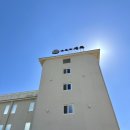 스테이 새록 | 거제 숙소 l 몽돌해수욕장 근처 오션뷰 감성숙소 거제 스테이 새록