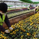 백양산 양묘장 이미지