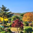 부석사 - 서산시 | 부석사