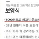 기능명품 티스토리