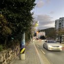 크로스핏 골드 타운 | [일상] 2022.10월 3주 - 엔뿌삐 퍼플의 일상