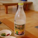 오렌지 애견카페 이미지