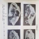 북경백침당한의원 이미지