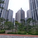 시청로 2(버스정류장) 이미지