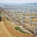 본태양광발전소 이미지