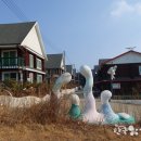 섬사랑펜션민박 이미지