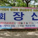 장산억새밭 이미지