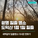 도덕산공원 | 광명 일출명소 도덕산 26년 첫 해돋이 보고 온 후기