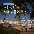 한신 | 한신치킨호프 반포한강공원 치킨 맛집 피크닉 돗자리 분수시간