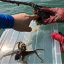 비안도수산 이미지