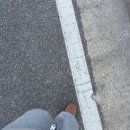 지에스(GS) 모란탑(TOP) | 거친 파도에도 굴하지 않게