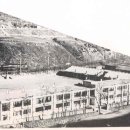 철암초등학교 이미지