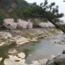 천지태권도체육관 이미지