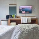 해진농장 | 제주 스쿠버다이빙 야야다이브 광복절 펀다이빙 후기 2탄