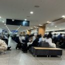 터미널성인오락실 | 부산 출발 배타고 후쿠오카 여행 뉴카멜리아 다인실 후기