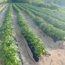 해든어린이집 이미지