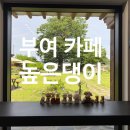 백제서동탁구클럽 | [부여 카페] 높은댕이 감성 한옥카페, 전통과 예술이 어우러진 뷰가좋은 카페