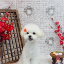 릴리줄리살롱 이미지