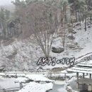초야식육식당
