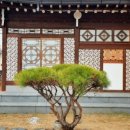 스테이 옥스펜션 가 이미지