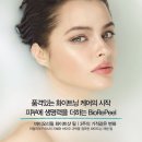 필바이오 네이버블로그
