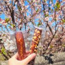 피크닉 도시락 | 광주 디저트 맛집 동명디저트 동명카츠 광주 피크닉 도시락 배달 후기