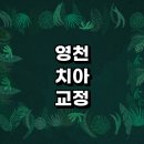 영천시 치아교정 잘하는 전문치과 병원 추천 | 비용 후기 설측교정 돌출입 앞니 투명 무턱 부분 교정기...